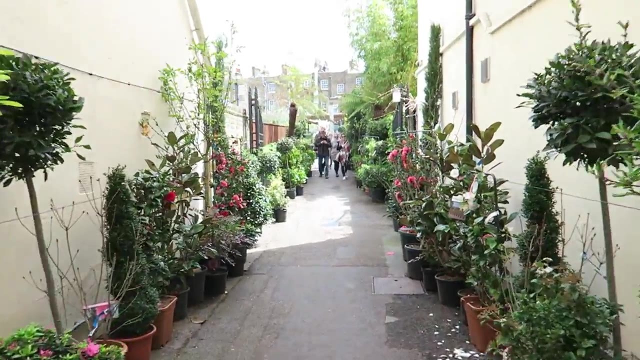 Plant-lined entrance passage at Clifton Nurseries in London