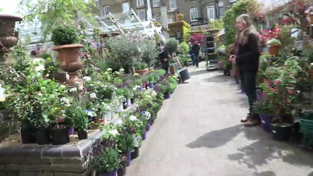 Potted plants and a fountain at Clifton Nurseries