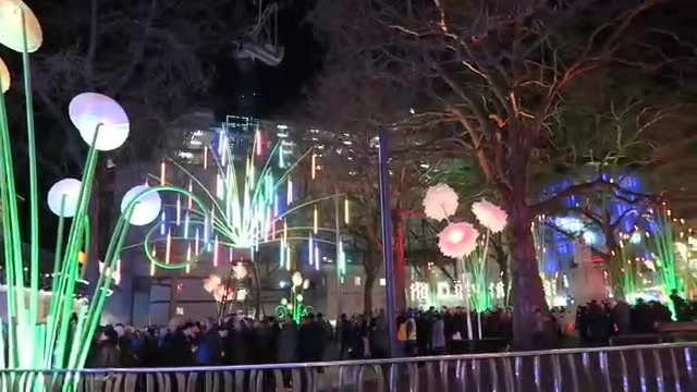 Glowing plant sculptures in Leicester Square at Lumiere London 2016