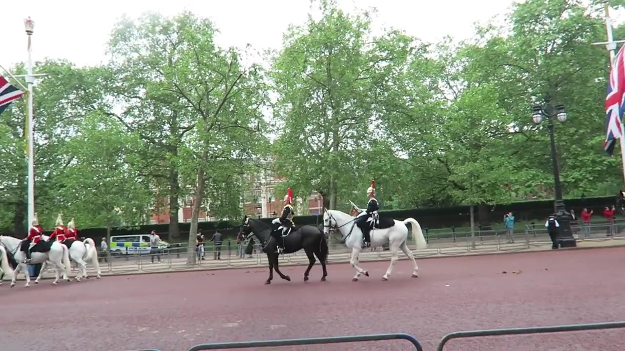 Ceremonial carriages drawn by white horses on The Mall